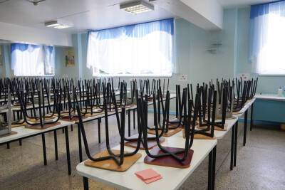В Воронеже из-за ковида 6 классов в 5 школах ушли на дистант - gorcom36.ru - Воронеж