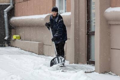 Анатолий Повелий - Вице-губернатор Петербурга исключил, что бюджетников заставят убирать город от снега - znak.com - Санкт-Петербург
