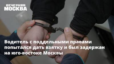 Водитель с поддельными правами попытался дать взятку и был задержан на юго-востоке Москвы - vm.ru - Москва - Московская обл.