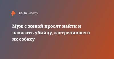 Муж с женой просят найти и наказать убийцу, застрелившего их собаку - ren.tv - Ленинградская обл.