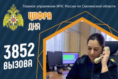 3852 вызова с начала года обработали диспетчеры экстренных служб в Смоленской области - mk-smolensk.ru - Россия - Смоленская обл.