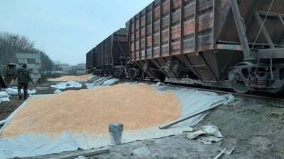 Торік збитки УЗ від розкрадання зернових вантажів склали майже 10 млн гривень - hubs.ua - Украина