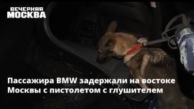 Пассажира BMW задержали на востоке Москвы с пистолетом с глушителем - vm.ru - Москва - Московская обл. - Воскресенск - Москва