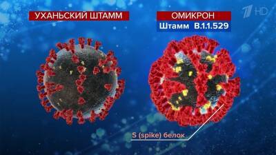 Александр Гинцбург - Итальянские ученые сравнили эффективность вакцин против омикрон-штамма - 1tv.ru - Италия