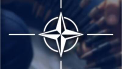 Правительство Молдовы одобрило план сотрудничества с НАТО на ближайшие два года - mir24.tv - Молдавия - Попеск - Кишинев