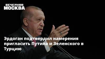 Владимир Зеленский - Владимир Путин - Реджеп Тайип Эрдоган - Алишер Усманов - Александр Бастрыкин - Михаил Мишустин - Андрей Костин - Роман Абрамович - Джеймс Бэнкс - Эрдоган подтвердил намерения пригласить Путина и Зеленского в Турцию - vm.ru - Россия - Украина - Турция - Washington