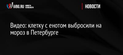 Видео: клетку с енотом выбросили на мороз в Петербурге - ivbg.ru - Украина - Санкт-Петербург - Петербург