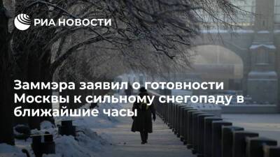 Петр Бирюков - Заммэра заявил о готовности Москвы к сильному снегопаду в ближайшие часы - ria.ru - Москва - Москва