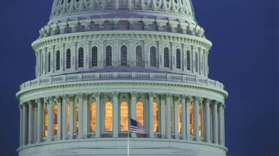 Джин Шахин - Американский сенатор Шахин представила законопроект о ленд-лизе для Украины - russian.rt.com - Россия - США - Украина