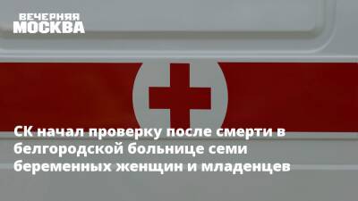 СК начал проверку после смерти в белгородской больнице семи беременных женщин и младенцев - vm.ru - Россия - Белгородская обл. - Следственный Комитет