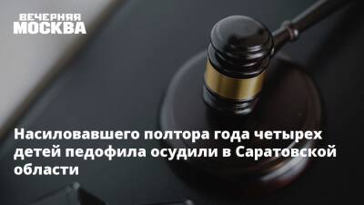 Насиловавшего полтора года четырех детей педофила осудили в Саратовской области - vm.ru - Москва - Россия - Саратовская обл. - Следственный Комитет