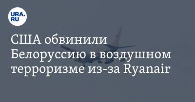 София Сапега - США обвинили Белоруссию в воздушном терроризме из-за Ryanair - ura.news - США - Белоруссия - Вильнюс - Минск
