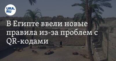 В Египте ввели новые правила из-за проблем с QR-кодами - ura.news - Египет - Турция - Эмираты - Доминиканская Республика