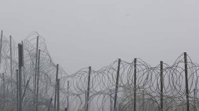 Пьяный курсант и его друг случайно перешли границу Украины с Польшей - iz.ru - Россия - Украина - Израиль - Польша - Литва - Львовская обл. - район Самборский