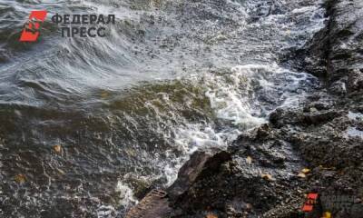 В новосибирском селе могут не найти подрядчика для укрепления береговой линии - fedpress.ru - Новосибирск - Экология