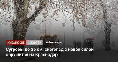 Сугробы до 25 см: снегопад с новой силой обрушится на Краснодар - kubnews.ru - Россия - Краснодарский край - Краснодар - Краснодар