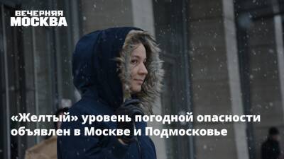 «Желтый» уровень погодной опасности объявлен в Москве и Подмосковье - vm.ru - Москва - Россия - Московская обл. - Москва