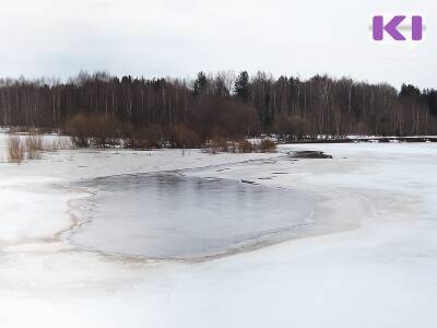 В Коми на болоте снегоход вместе с охотником провалился под лед - komiinform.ru - респ. Коми