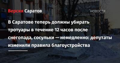 В Саратове теперь должны убирать тротуары в течение 12 часов после снегопада, сосульки — немедленно: депутаты изменили правила благоустройства - nversia.ru - Саратов