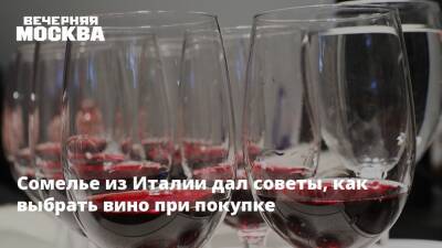 Сомелье из Италии дал советы, как выбрать вино при покупке - vm.ru - Италия - Франция - Юар