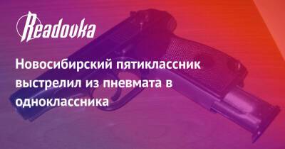 Новосибирский пятиклассник выстрелил из пневмата в одноклассника - readovka.news - Новосибирская обл.