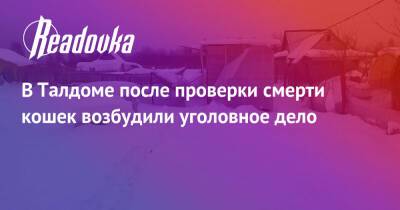 В Талдоме после проверки смерти кошек возбудили уголовное дело - readovka.ru - Россия - Санкт-Петербург - Московская обл.