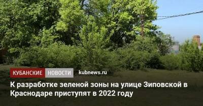 Андрей Алексеенко - К разработке проекта зеленой зоны на улице Зиповской в Краснодаре приступят в 2022 году - kubnews.ru - Краснодарский край - Краснодар - Краснодар - Благоустройство