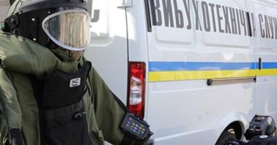 В Киеве "заминировали" все школы - dsnews.ua - Россия - Украина - Киев - Симферополь - Черкассы - Киев