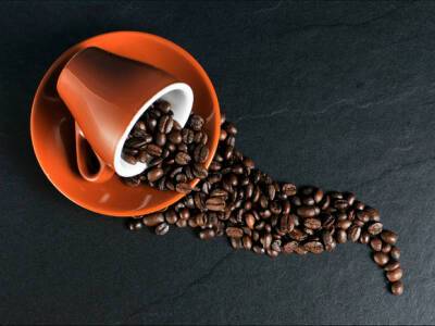 Лорен Манакер - Диетолог назвала продукты для сохранения бодрости без кофе - rosbalt.ru - США