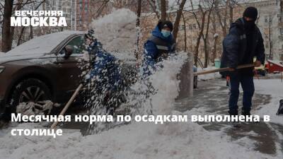 Месячная норма по осадкам выполнена в столице - vm.ru - Москва - Московская обл. - Москва