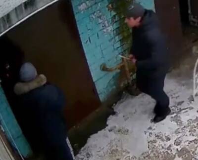 В Воронеже хулиган пырнул ножом пенсионера, попросившего не справлять нужду у подъезда - Русская семерка - russian7.ru - Воронеж