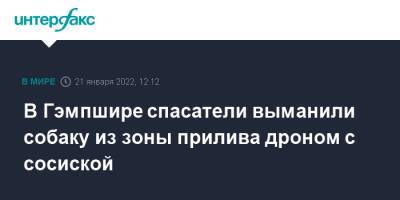 В Гэмпшире спасатели выманили собаку из зоны прилива дроном с сосиской - interfax.ru - Москва - Англия - Великобритания
