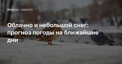 Облачно и небольшой снег: прогноз погоды на ближайшие дни - mos.ru - Москва