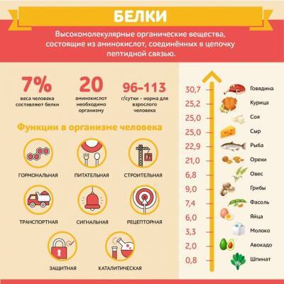 Опасность современной пищи-мало белка - vesti.uz - Узбекистан