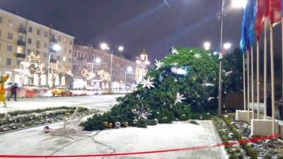 Упавшую из-за ветра главную елку Ростова у парка Горького восстановят по гарантии - privet-rostov.ru - Санкт-Петербург
