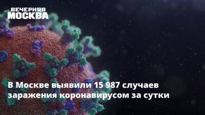 Евгений Тимаков - В Москве выявили 15 987 случаев заражения коронавирусом за сутки - vm.ru - Москва - Россия - Москва