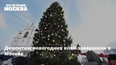 Демонтаж новогодних елей завершили в Москве - vm.ru - Москва - Москва