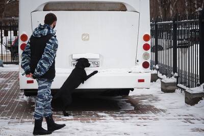 Свыше шести килограммов наркотиков изъяли нижегородские транспортные полицейские - vgoroden.ru - Россия - Нижегородская обл.