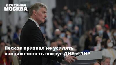 Владимир Путин - Дмитрий Песков - Вячеслав Володин - Денис Пушилин - Песков призвал не усилять напряженность вокруг ДНР и ЛНР - vm.ru - Москва - Россия - Украина - Киев - ДНР - Горловка - Донецк - ЛНР - населенный пункт Донбасс - Докучаевск