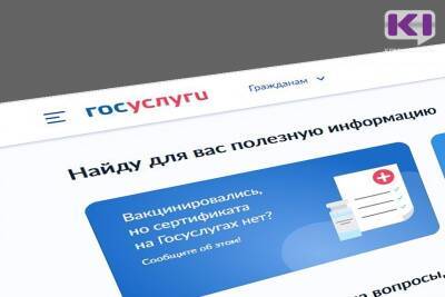 В Сыктывкаре возбуждены уголовные дела по фактам неправомерного доступа к личным кабинетам на Госуслугах - komiinform.ru - Россия - респ. Коми - Сыктывкар