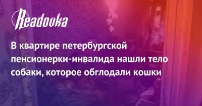 В квартире петербургской пенсионерки-инвалида нашли тело собаки, которое обглодали кошки - readovka.ru