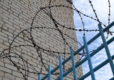 Рязанец, убивший знакомого ударом ножа в шею, получил 13 лет колонии строгого режима - ya62.ru - Россия