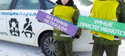 В Карелии трое из четырех погибших в ДТП в 2022 году не были пристегнуты ремнями безопасности - stolicaonego.ru - республика Карелия