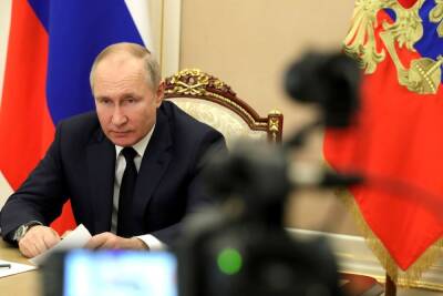 Владимир Путин - Саули Ниинист - Путин провел переговоры с президентом Финляндии - mk.ru - Москва - Россия - Киев - Финляндия