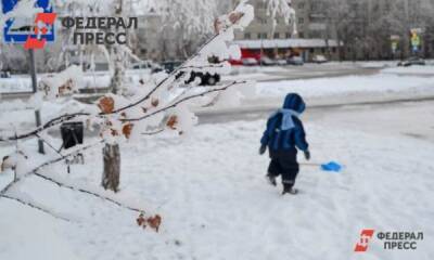 Александр Моора - Снег из тюменских дворов обещали вывезти к понедельнику - fedpress.ru - Тюмень