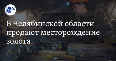 В Челябинской области продают месторождение золота - ura.news - Челябинская обл.