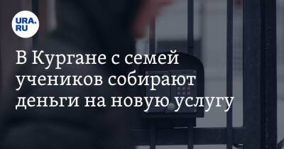 В Кургане с семей учеников собирают деньги на новую услугу. Аудио - ura.news - Курган