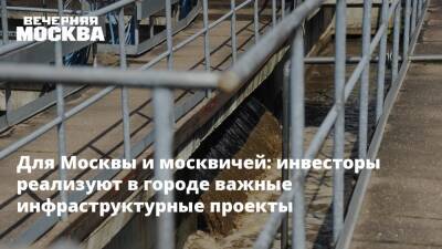 Для Москвы и москвичей: инвесторы реализуют в городе важные инфраструктурные проекты - vm.ru - Москва - ЦФО - Экология