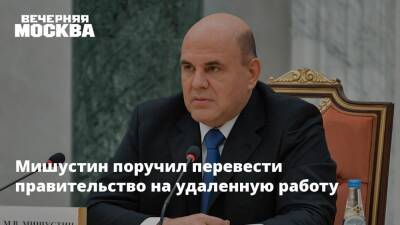 Михаил Мишустин - Мишустин поручил перевести правительство на удаленную работу - vm.ru - Россия