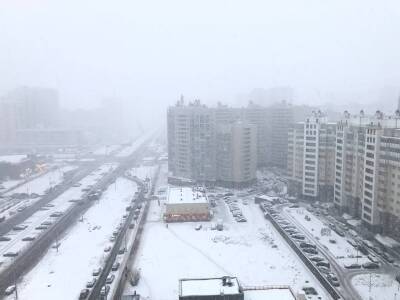 Северо-запад Петербурга засыпает снегом, но рассердить он успеет только водителей - neva.today - Санкт-Петербург - Зеленогорск
